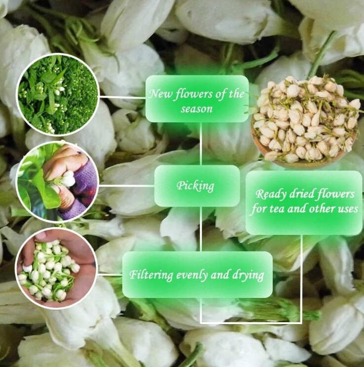 Jasmine Flower Buds Tea 250g (8.81oz) for Hot Cold Floral Beverages Garnishing