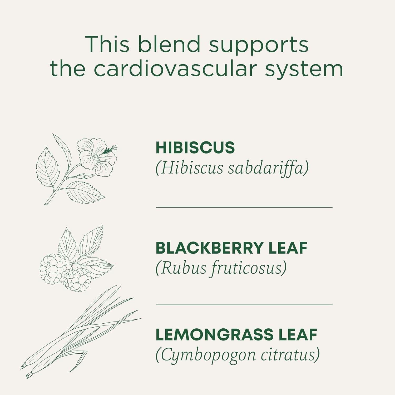 Organic Hibiscus Tea Bags 16 Count Herbal Tea Supports Cardiovascular Health