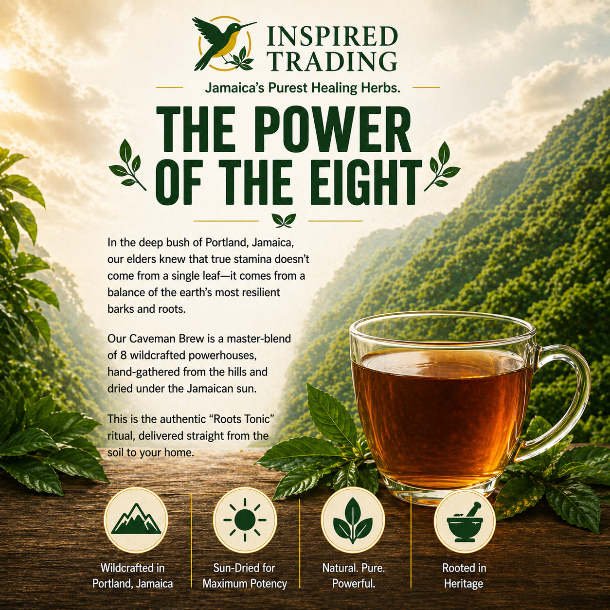 Jamaican Caveman Brew – Strong Back Tea- 7 Powerhouse Roots-Stamina & Energy