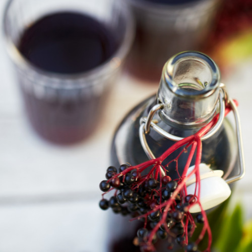 Elderberry Syrup Kit “Immunition Syrup” Immune Boosting Astragalus Reishi