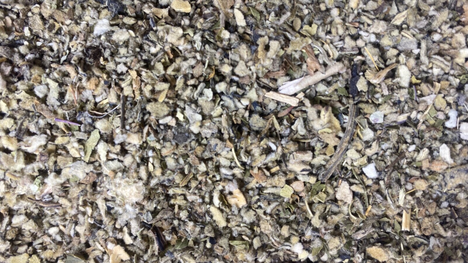 COLTSFOOT MULLEIN PEPPERMINT LOBELIA organic bulk herb blend mix 1 2 4 8 oz lb
