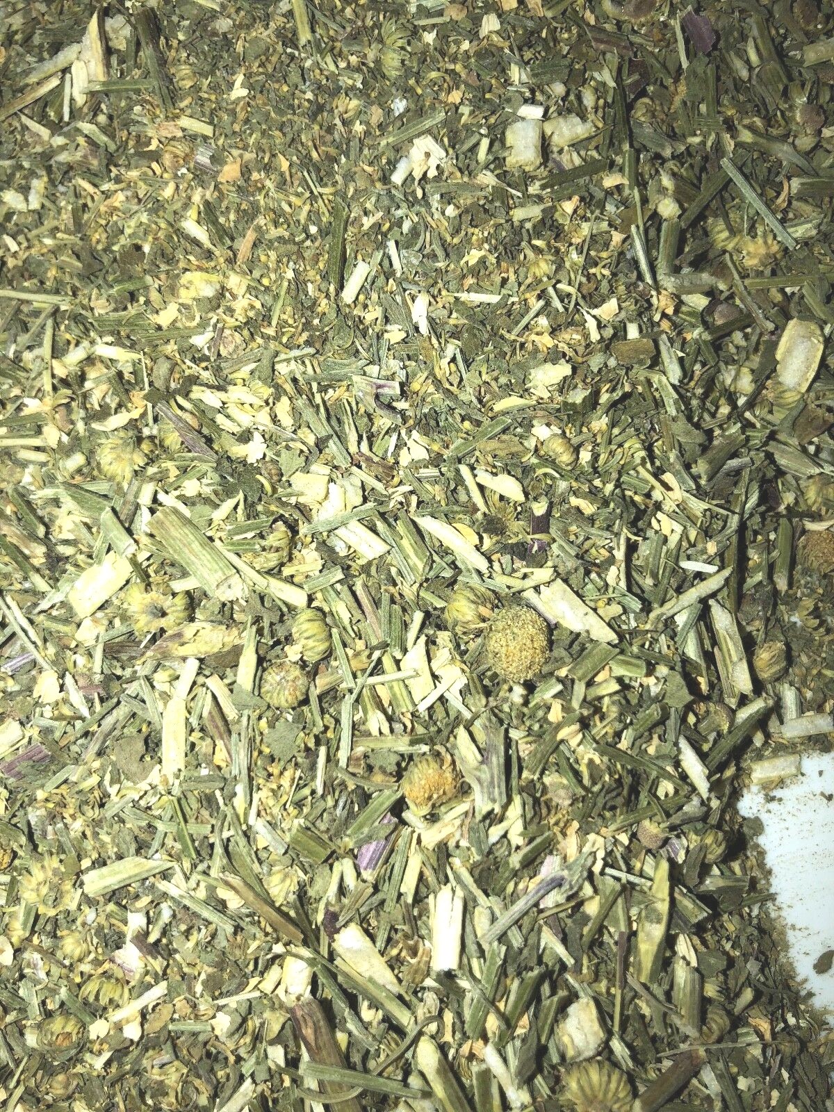 Feverfew Certified Organic Natural Headache Pain Herb Leaf