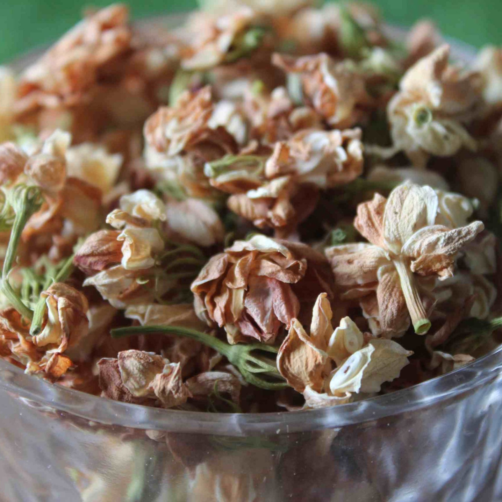 Jasmine Flower Buds Dried | Organic Herbal Tea | Fragrant Natural | Aromatic