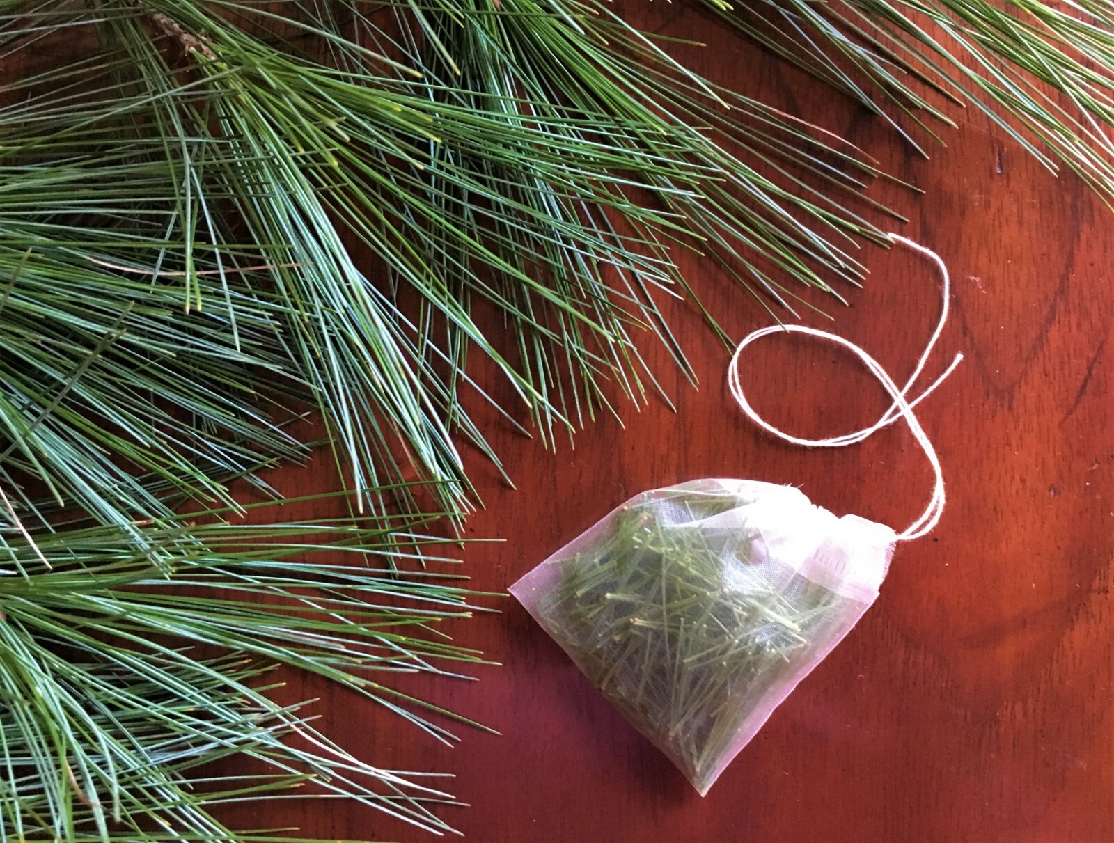 Eastern White Pine Needle Tea, Fresh Blue Ridge Mt. 2 oz