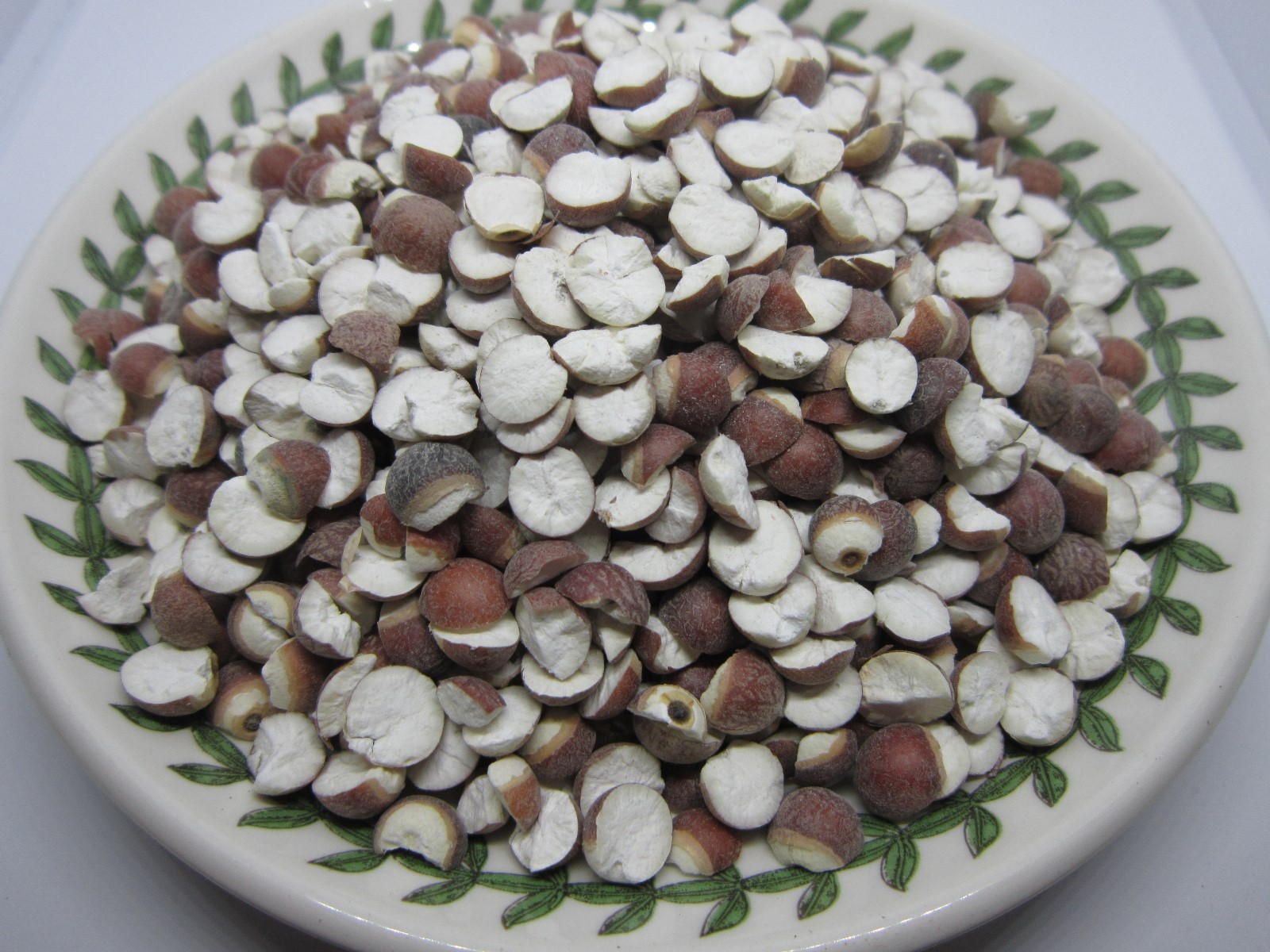 Fox Nut – Premium Dried Makhana Euryale Ferox, Harvested in 2025, Wild Crafted