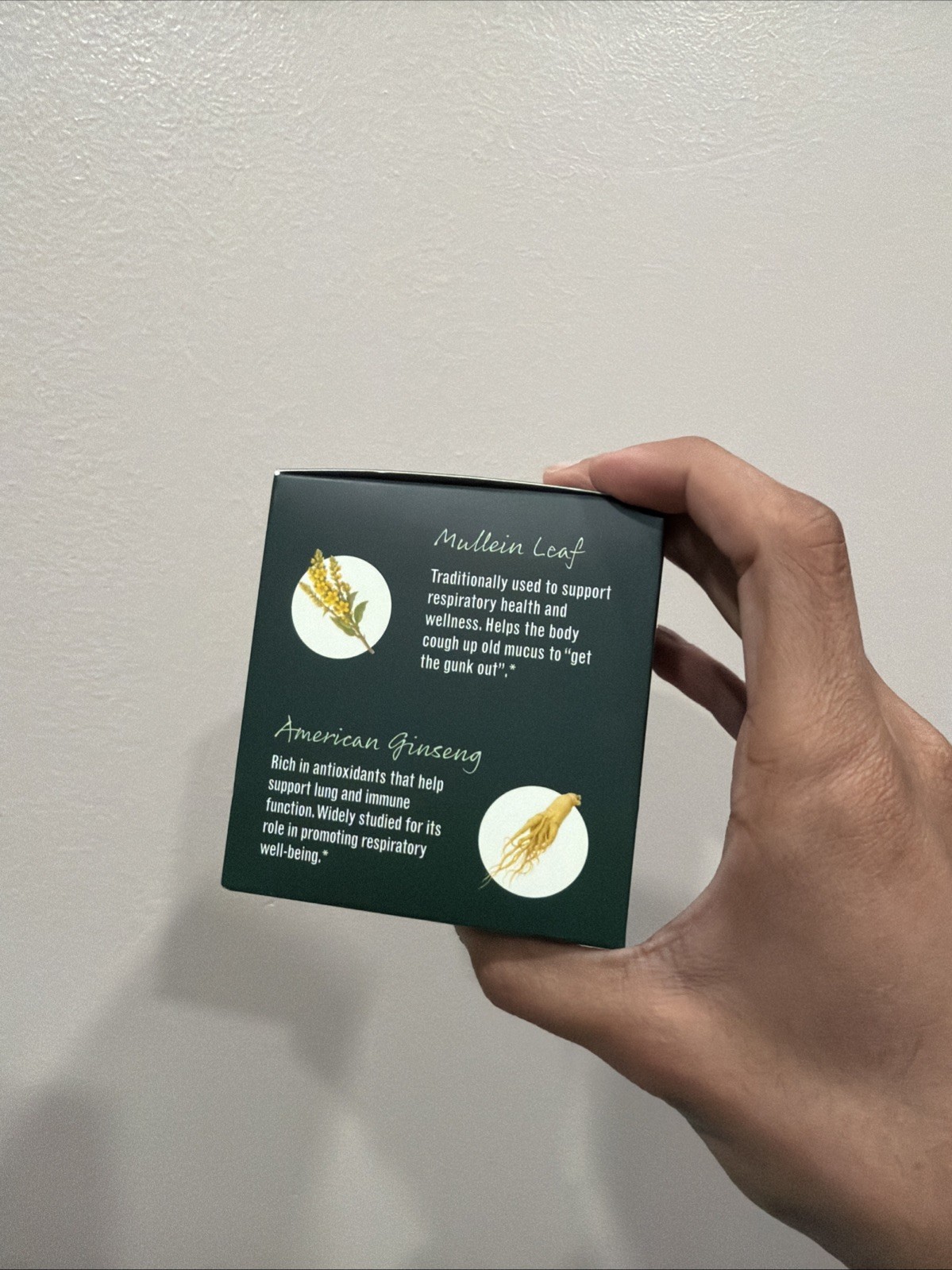 Betterbrand Better Lungs Detox Tea Caffeine Free Herbal Tea Bags Mullein Leaf