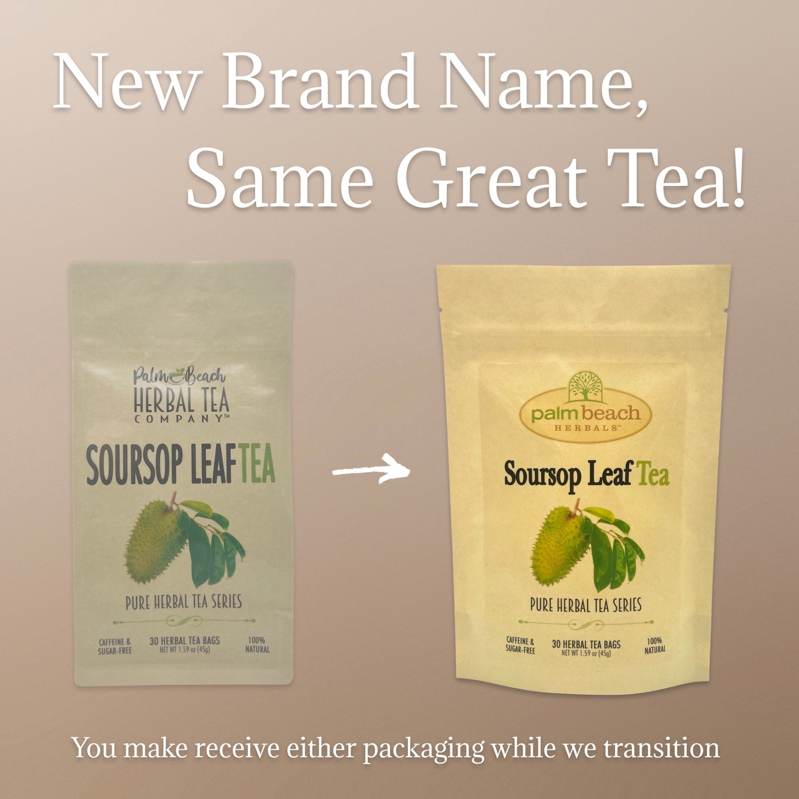 Soursop Leaf Tea by Palm Beach Herbals | 30ct, Caffeine-Free
