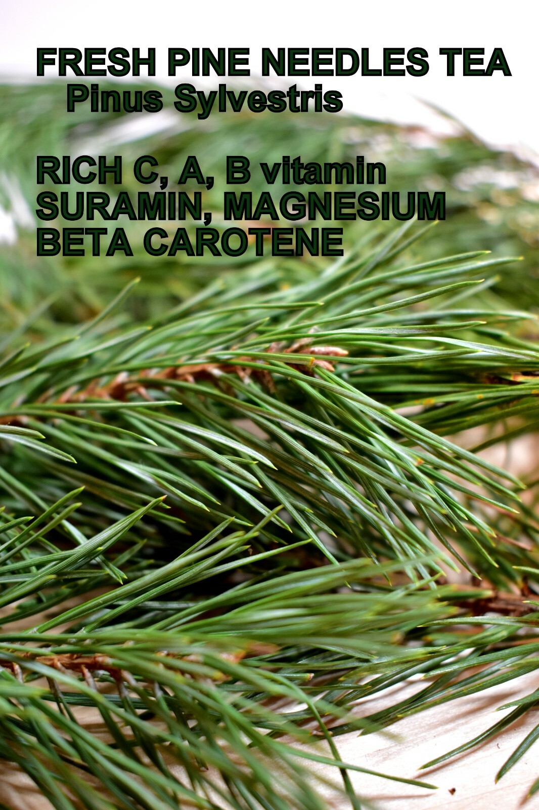 Fresh pine needles for tea 200 G / 7 OZ, Vitamin C, A, B, E, K, suramin, organic