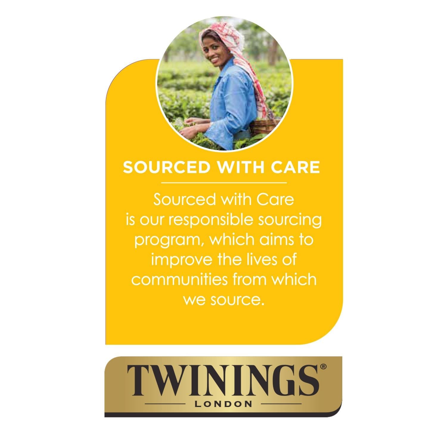 Twinings Darjeeling Tea – A Delicate, Dry Black Tea, 50 Count (Pack of 3)