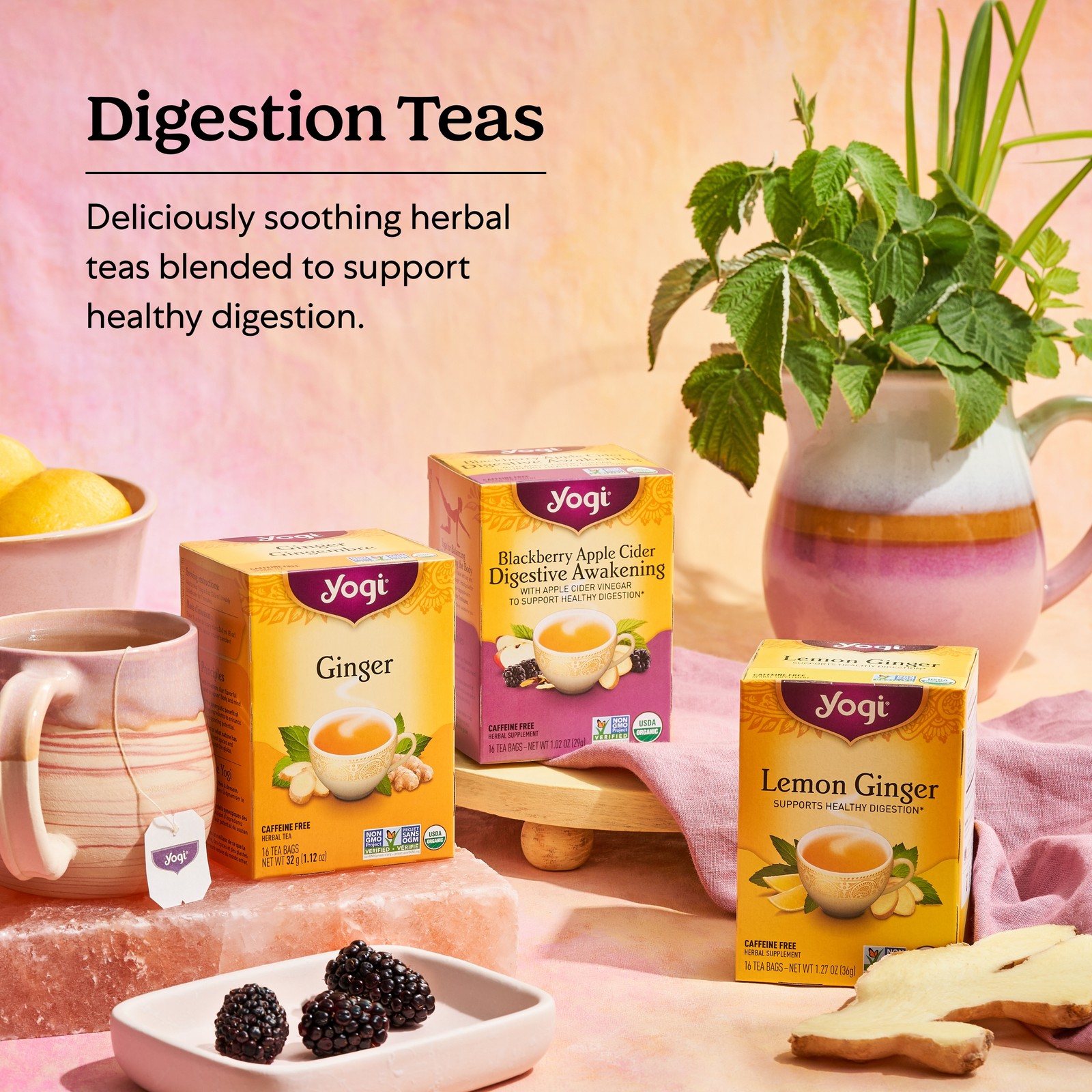 Yogi Tea – Ginger Tea Variety Pack Sampler (3 Pack) – 48 Organic Herbal Tea Bags