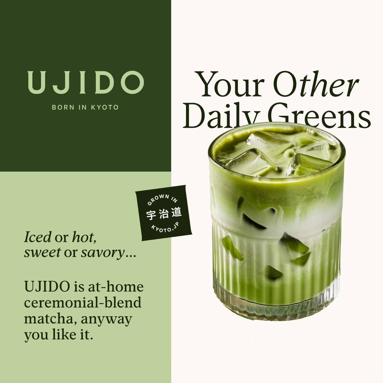 Ujido Japanese Matcha Green Tea Powder Ceremonial Blend 2 oz Authentic Tea