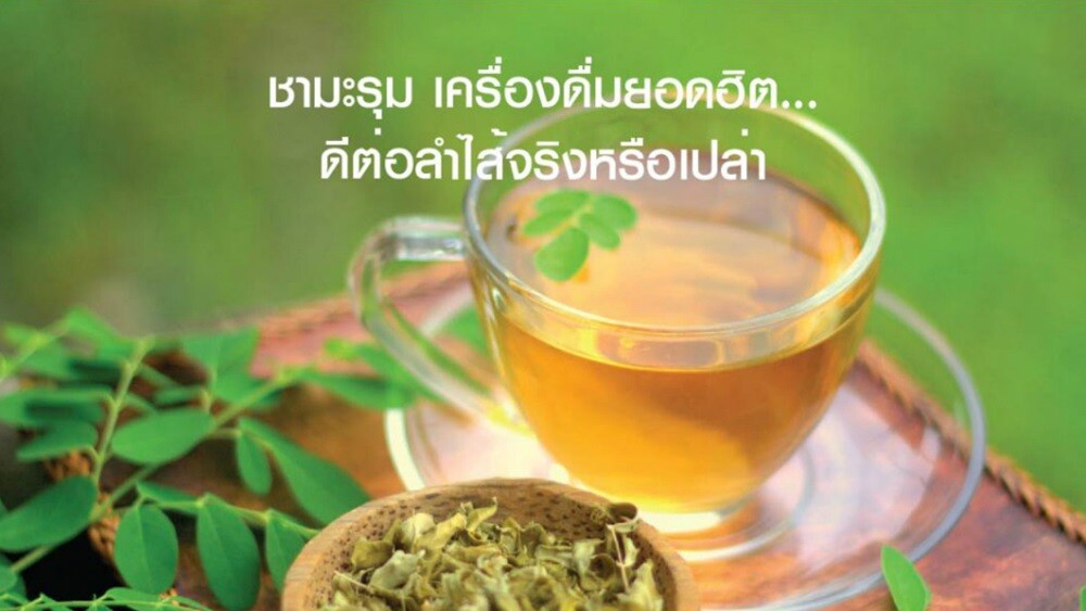 10 Pcs 150 Tea Bag Moringa Oleifera Lamk Thai Herbal Tea For Health Eye For Bone