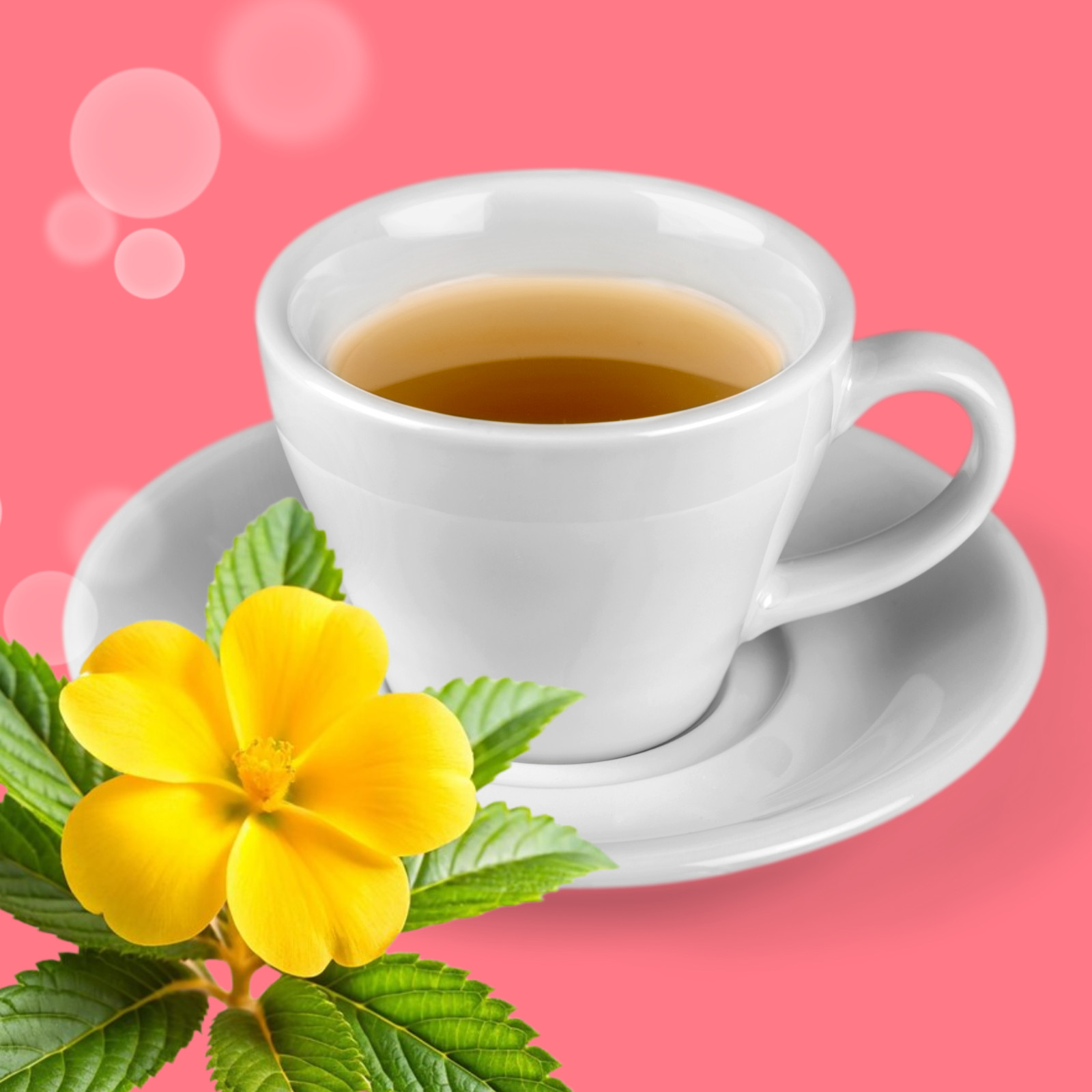 Tadin Damiana Herbal Tea, 24 Bags 0.68 fl oz, Smooth & Aromatic