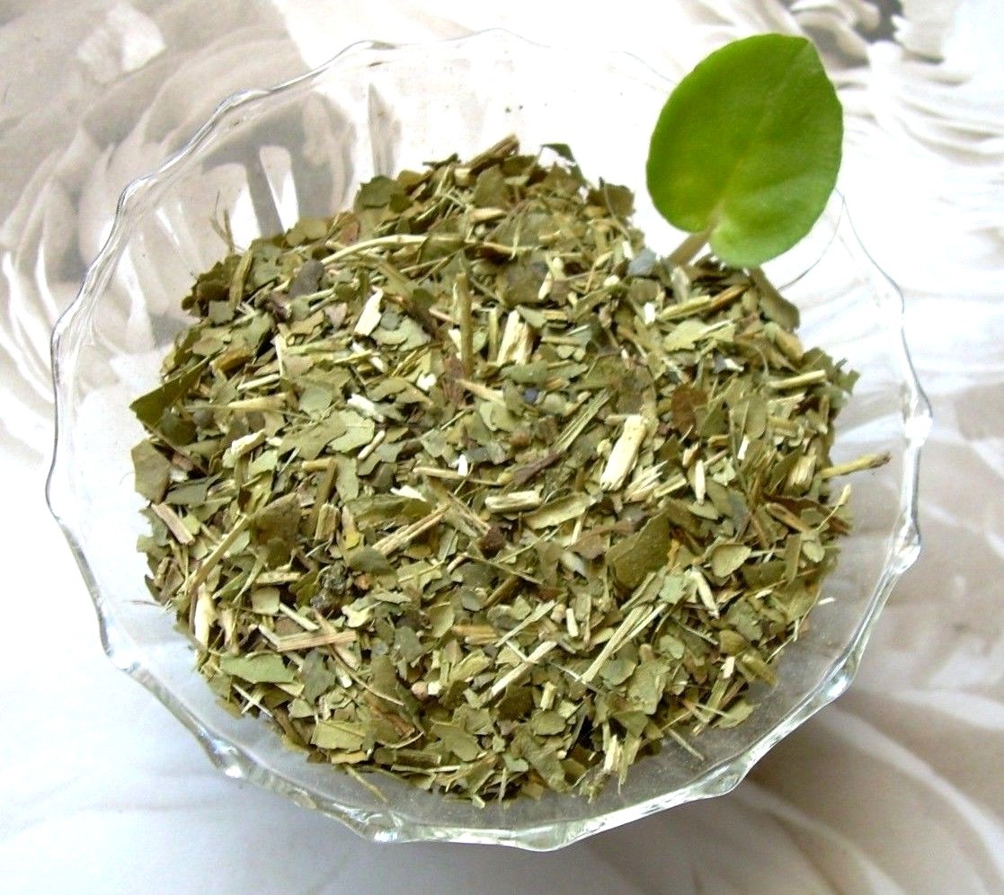Tea Plus Herb Infusion South American Yerba Mate & Japan Sencha Green Tea Blend