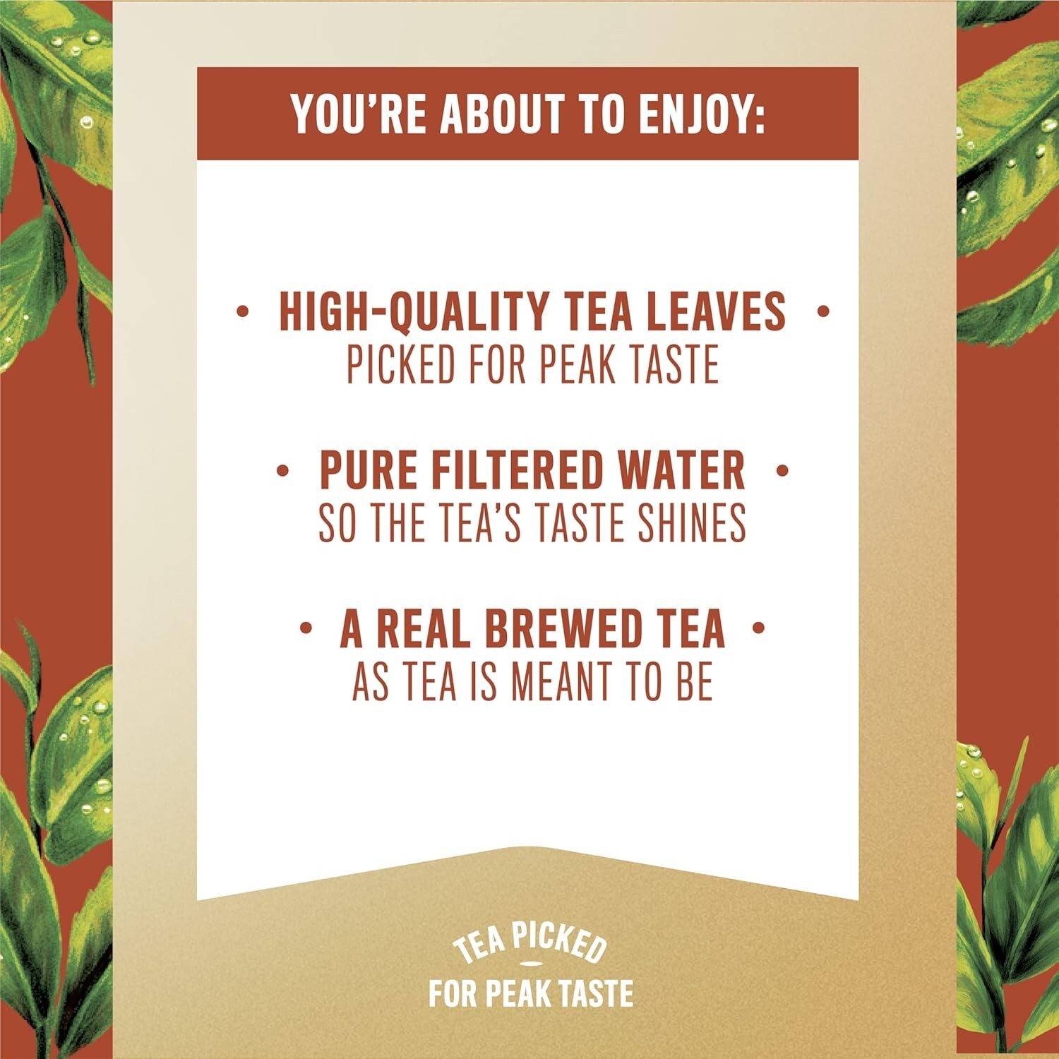 Family-Friendly Unsweetened Tea – 6-Pack of 16.9 fl oz Bottles for Any Occasion