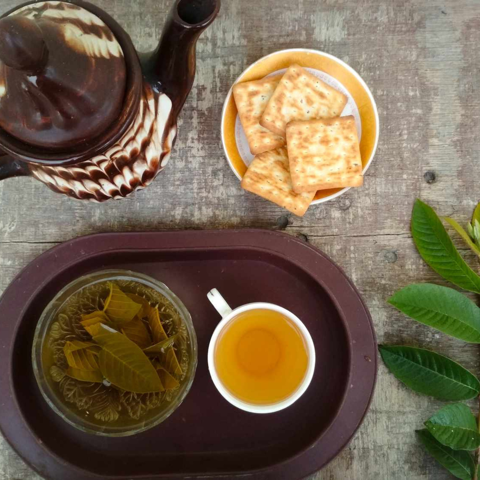 Guava Leaves 100% Organic Tea Dried Leaf Hojas Herbal Guayaba Psidium Hair