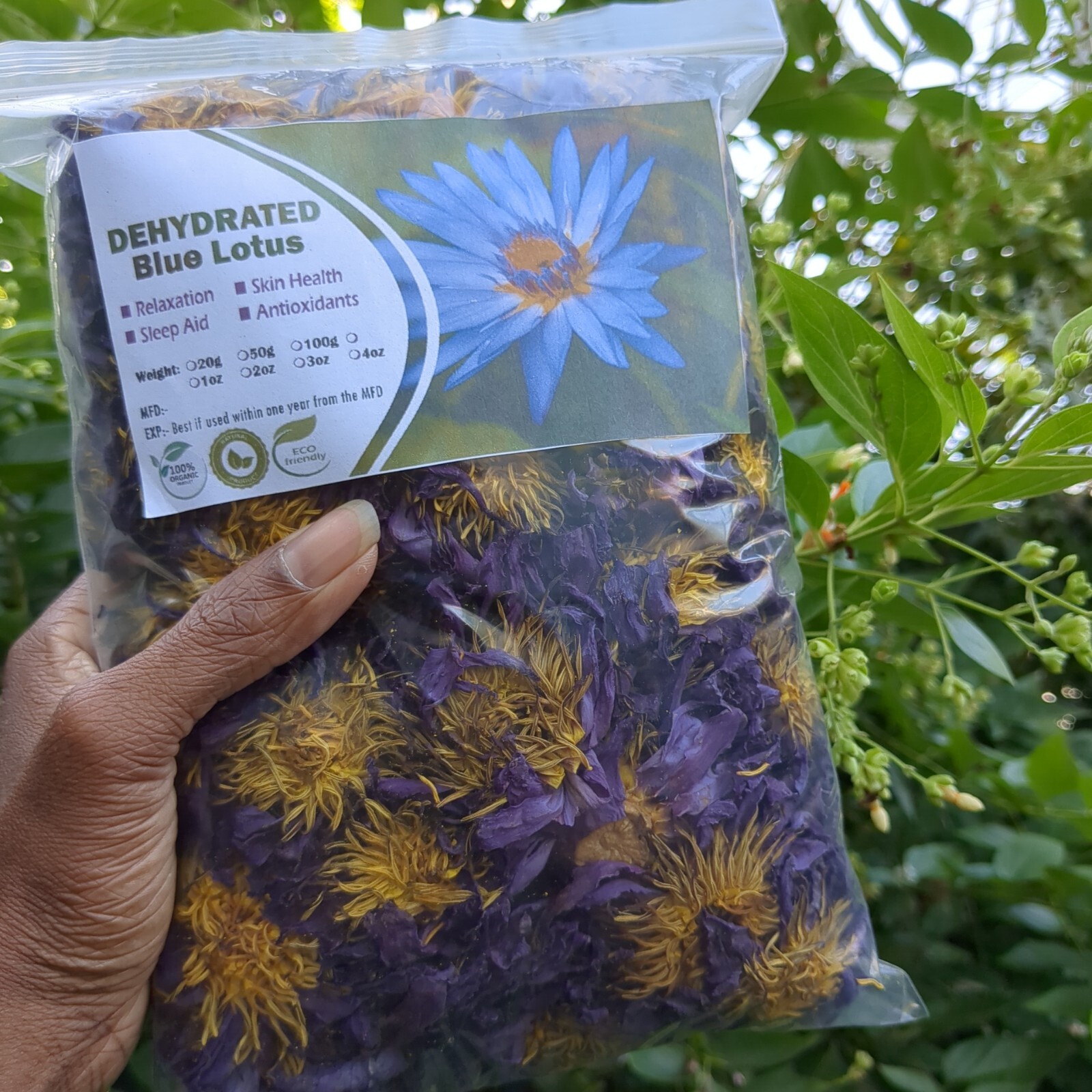 Blue Lotus Flower Nymphaea Caerulea, Egyptian Water Lily Flowers Lucid Dream 5oz