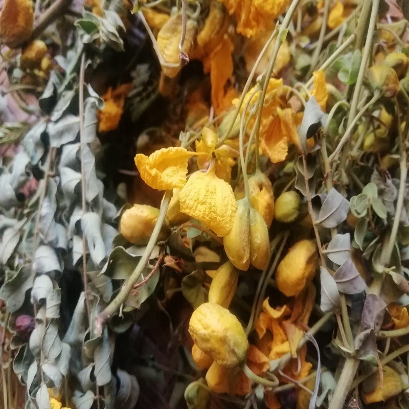 Natural Organic Tanner’s Cassia, Auriculata Avarampoo (Ranawara Mal) Dried 50g