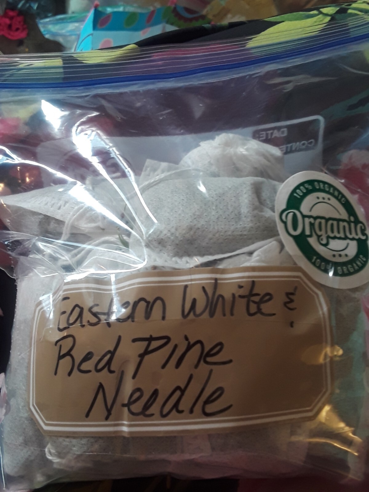 25 Pc Lot: Organic Eastern White Pine Needle & Red Pine Tea Bags Fresh Tree Bag