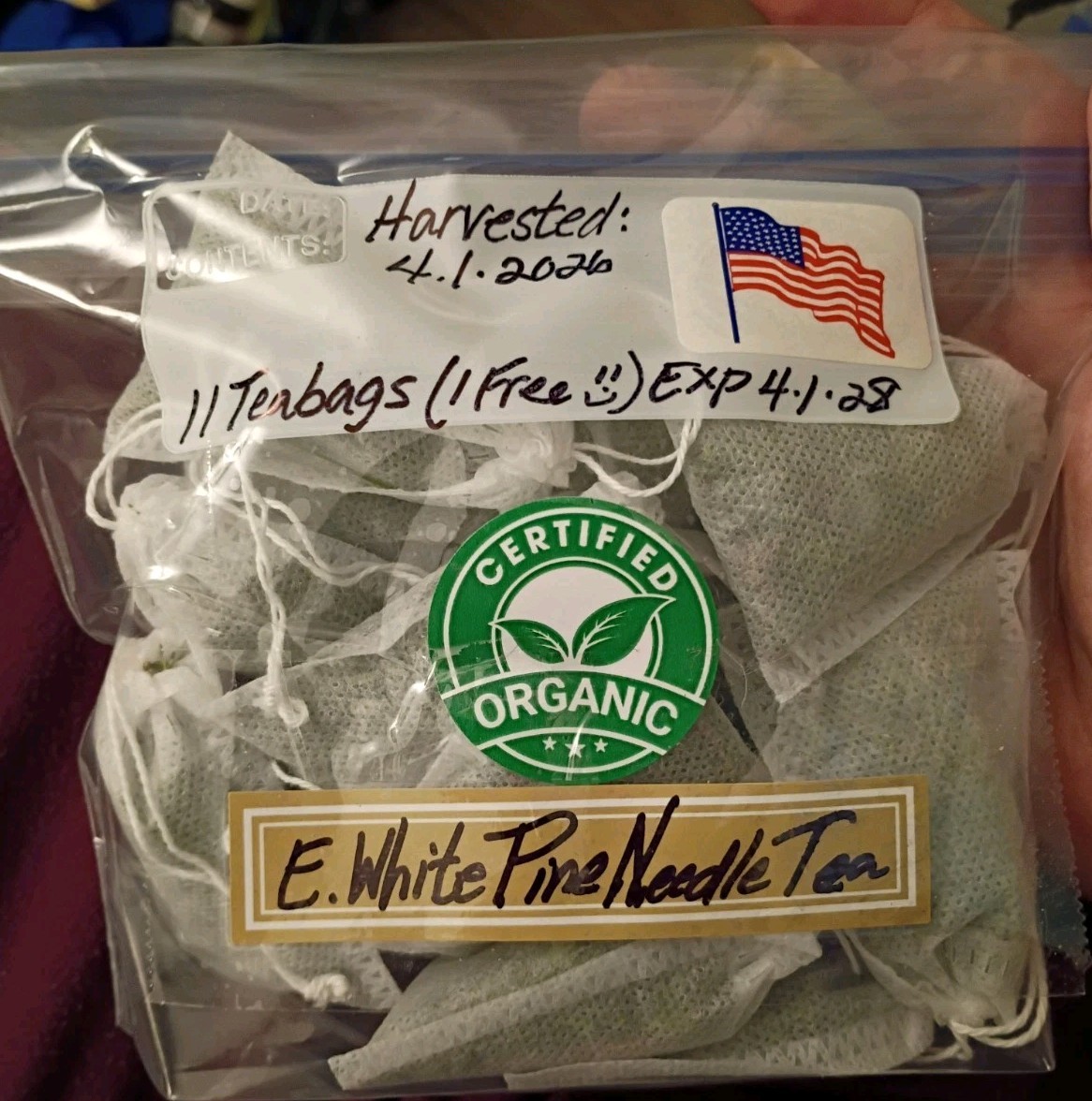 10 Pc LOT:BUY 3 GET 1 FREE Organic EASTERN WHITE Pine Needle Tea Bags Fresh Tree