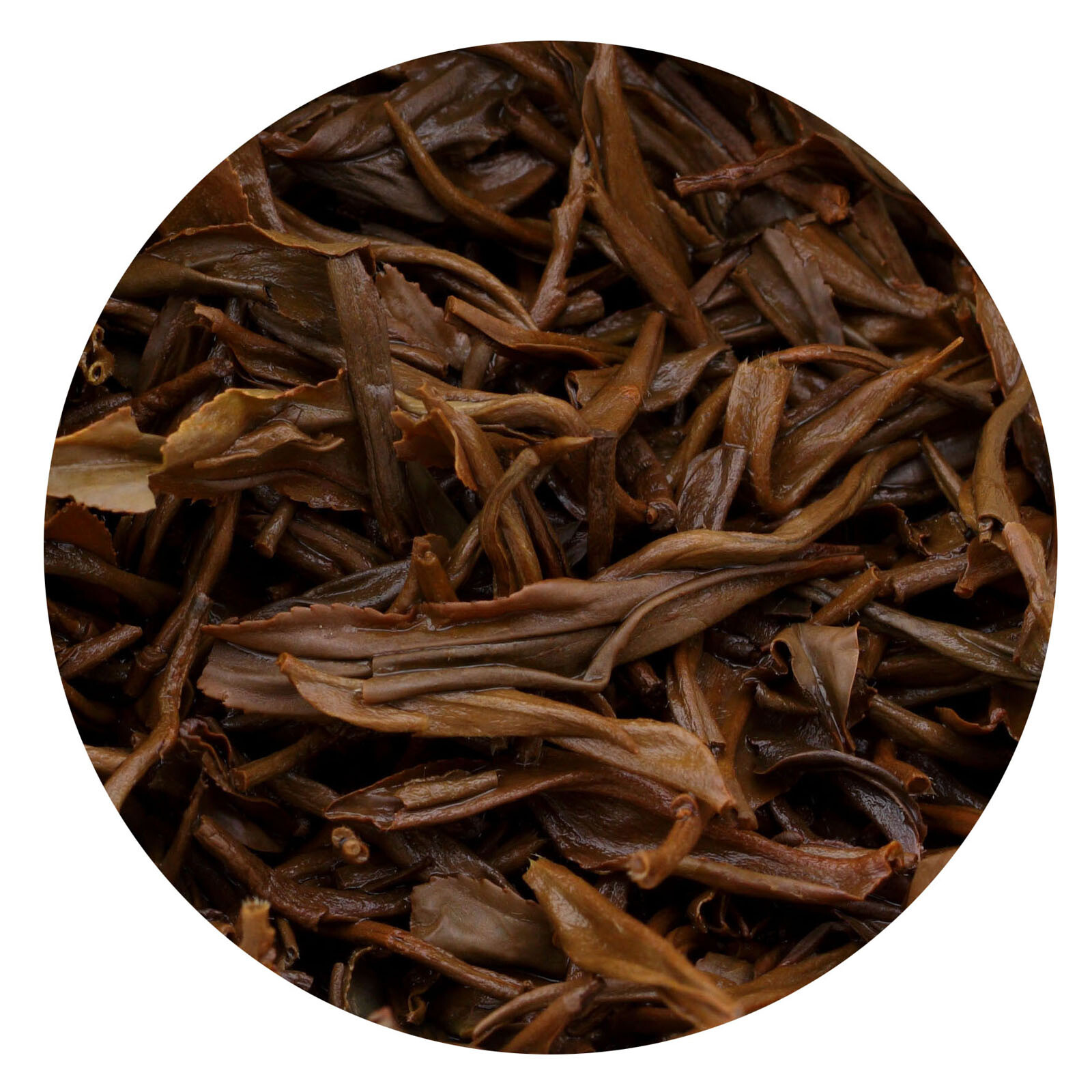 GOARTEA Supreme Lapsang Souchong Black Tea Fujian Wuyi – Golden Buds – No Smoky