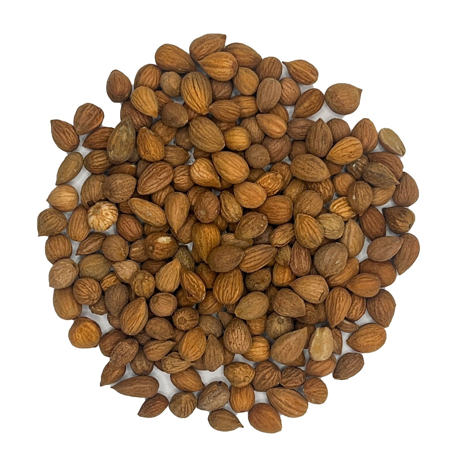 1 LB Yu Li Ren / 郁李仁 / Semen Pruni / Bush Cherry Seed – Free Shipping USA!