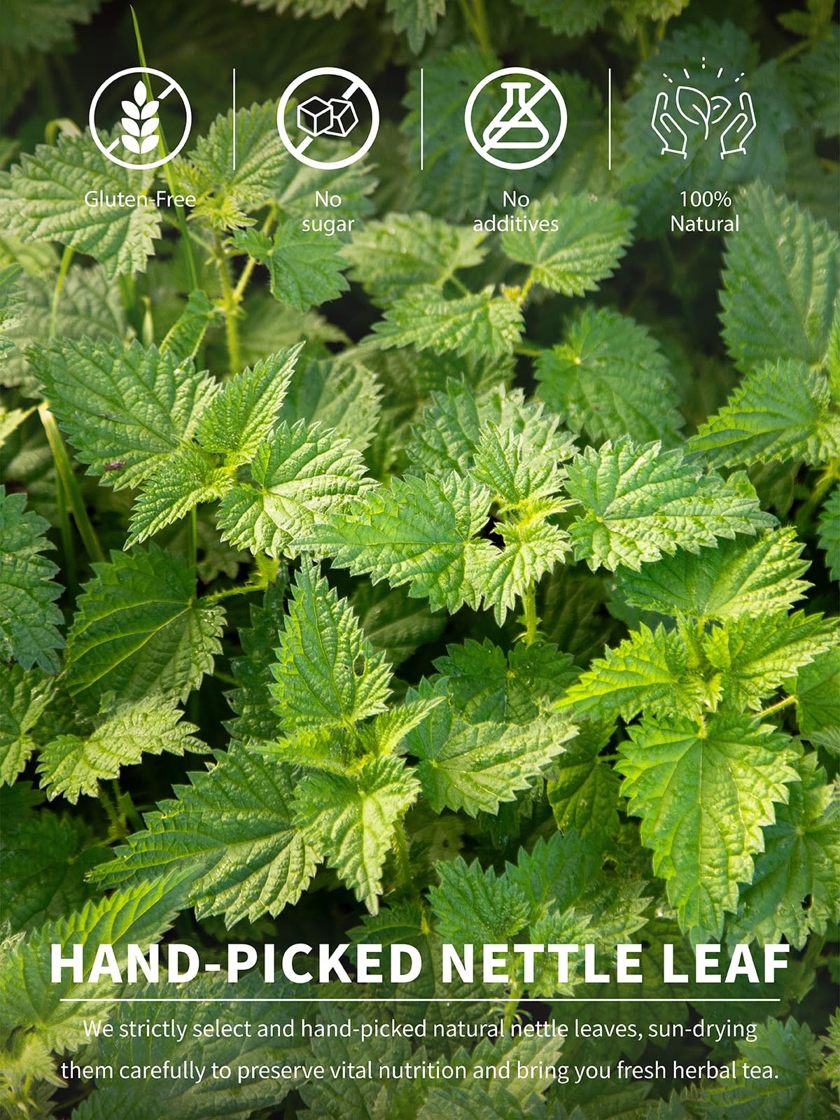 Nettle Leaf Tea Bags, Nettle Herbal Tea, Natural Stinging Nettle Tea, Caffein…