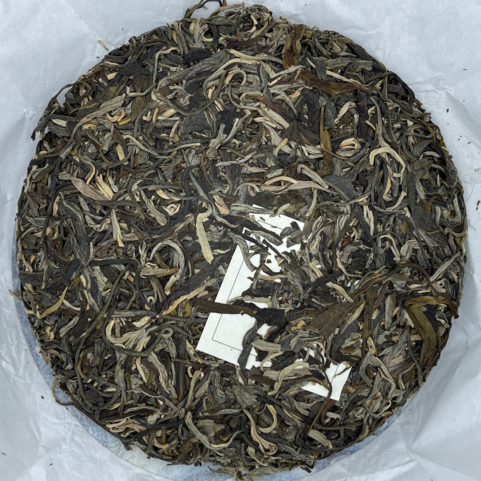 Pu-erh 普洱,2021,盛嘉源 SHENG JIA YUAN,石門坎Shimenkan,357g,Raw