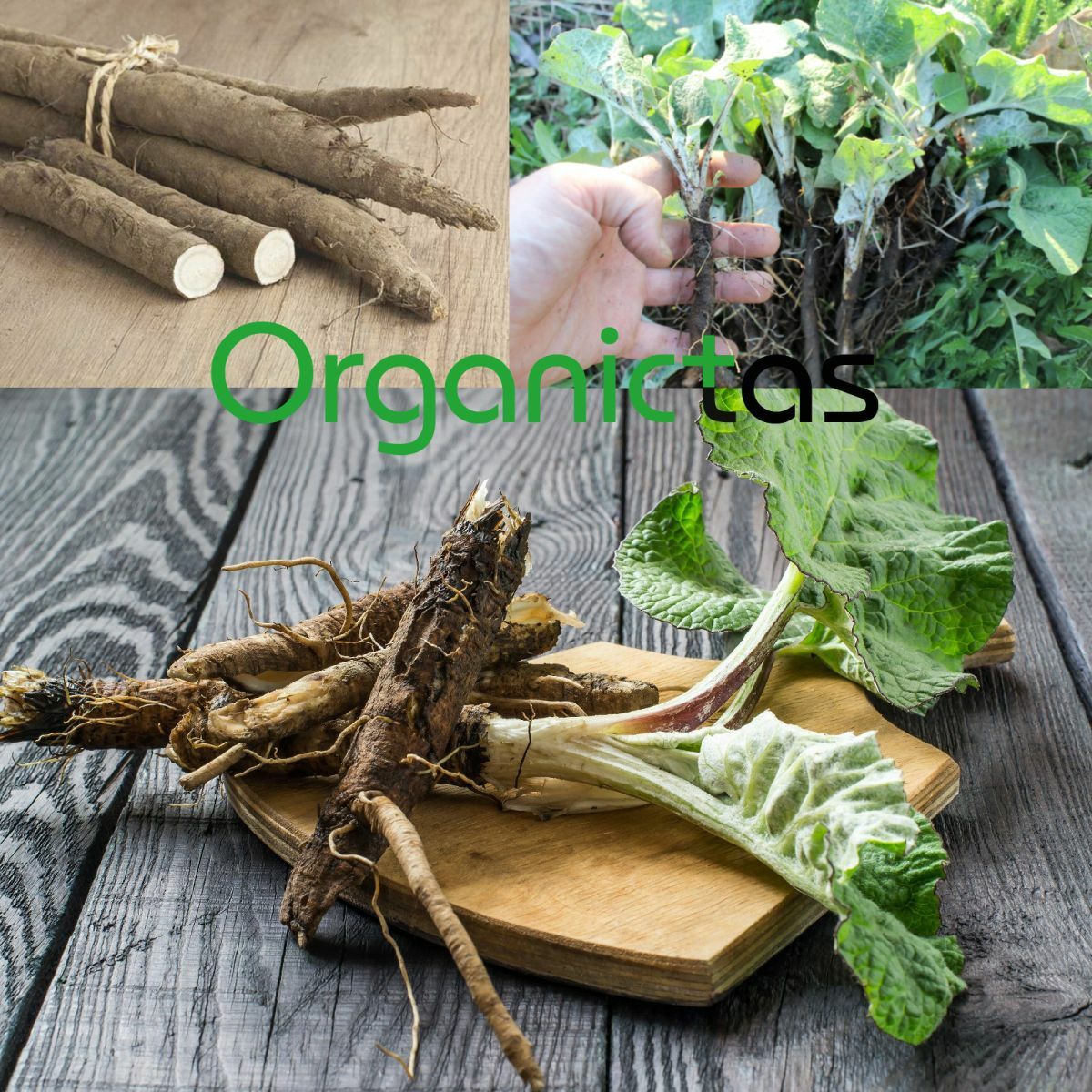 Burdock Root Tea Organic Dried Cut Loose for Detox Tea Infusion Health Benefits