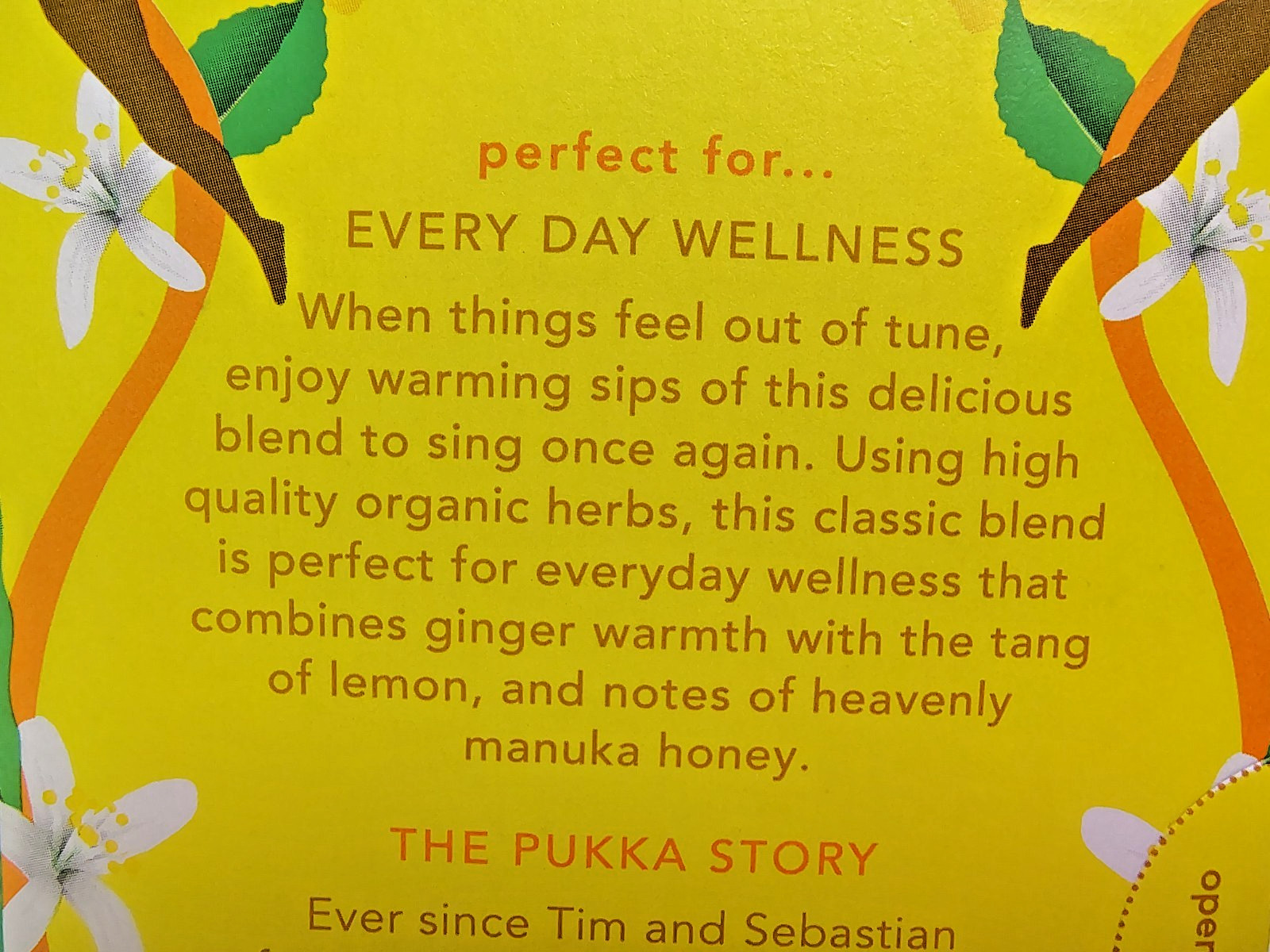 PUKKA Organic Tea Bundle, Three Mint & Lemon/Ginger/Manuka Honey, Lot of 160 Bag