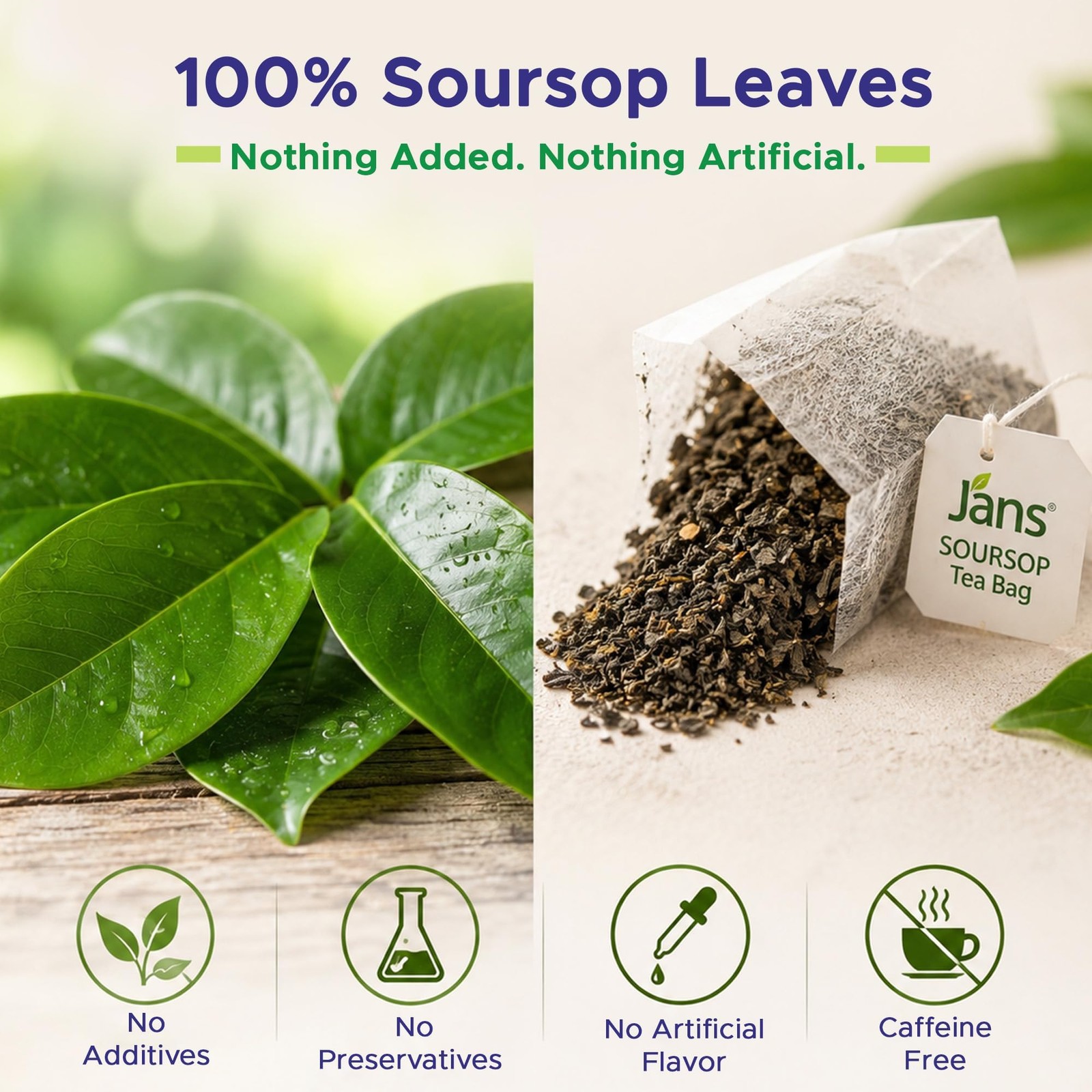 Soursop Tea Bags 25 Count | 100% Natural Soursop Leaves | Caffeine Free Sour …