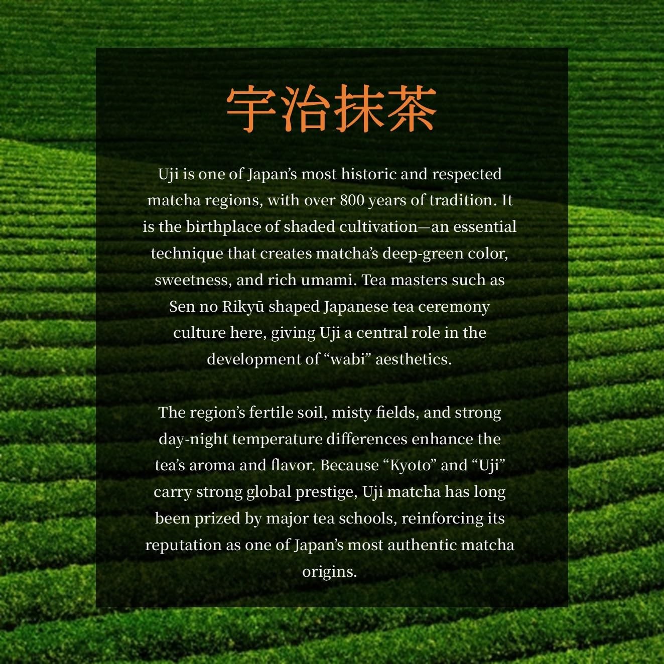 Uji Matcha Powder from Kyoto Japan – Ceremonial Grade 3.5oz (100g) – Premium …
