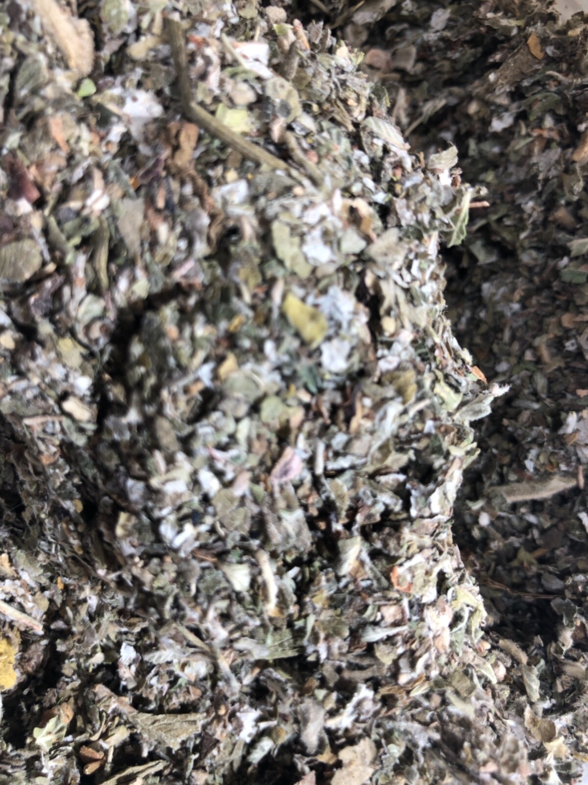 Damiana + Mullein + Marshmallow + Raspberry Leaf Organic Herb Mix – 1 lb POUND