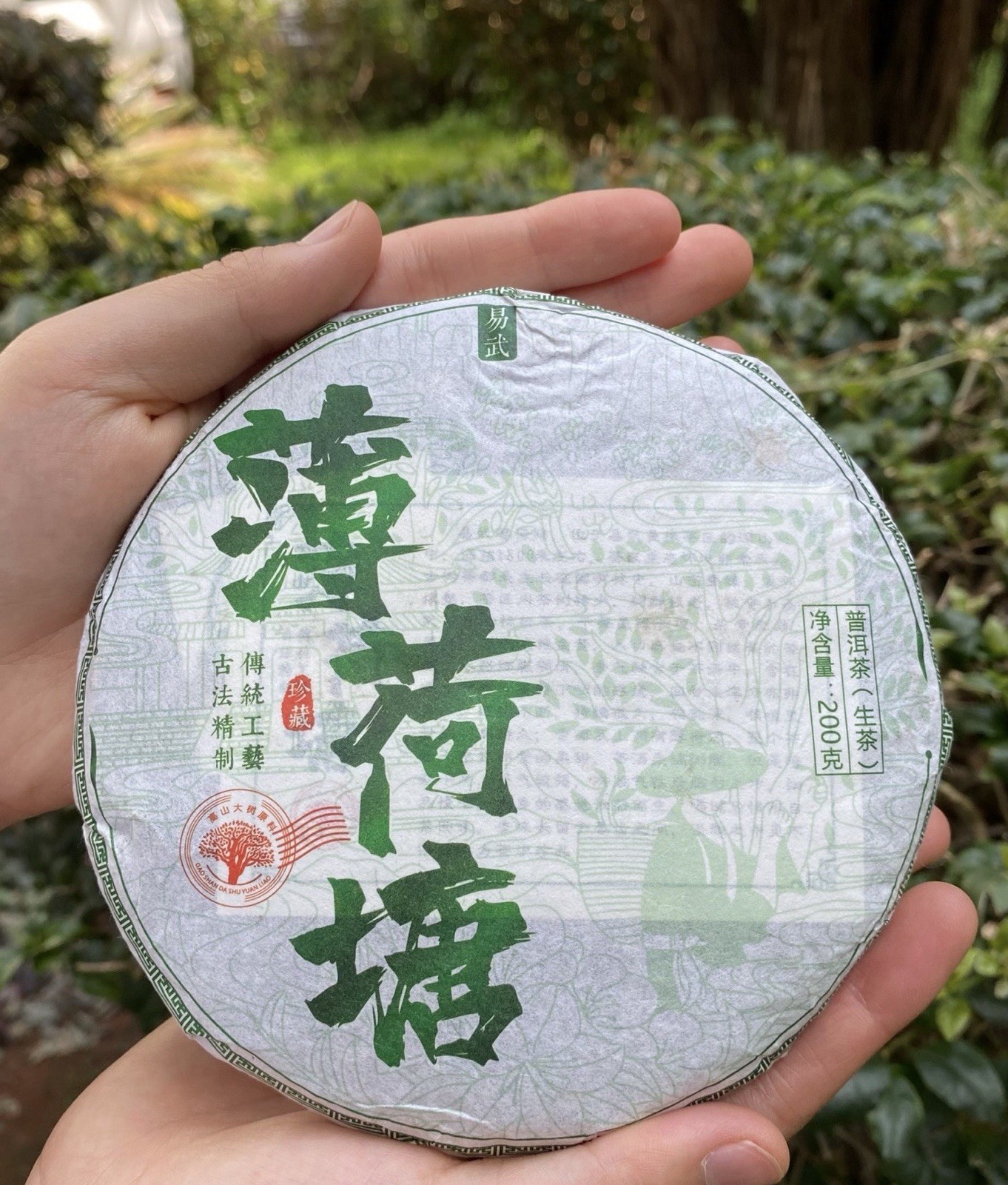 易武 薄荷塘 Pu-erh Sheng (Raw) Tea & Infusion Brick 200g Chinese 普洱生茶