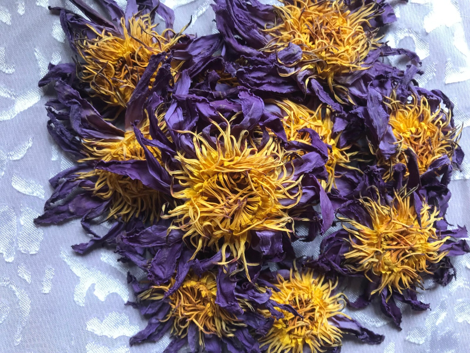 Egyptian Blue Lotus Nymphaea Caerulea Organic Pure Hand Picked Flowers Herbal