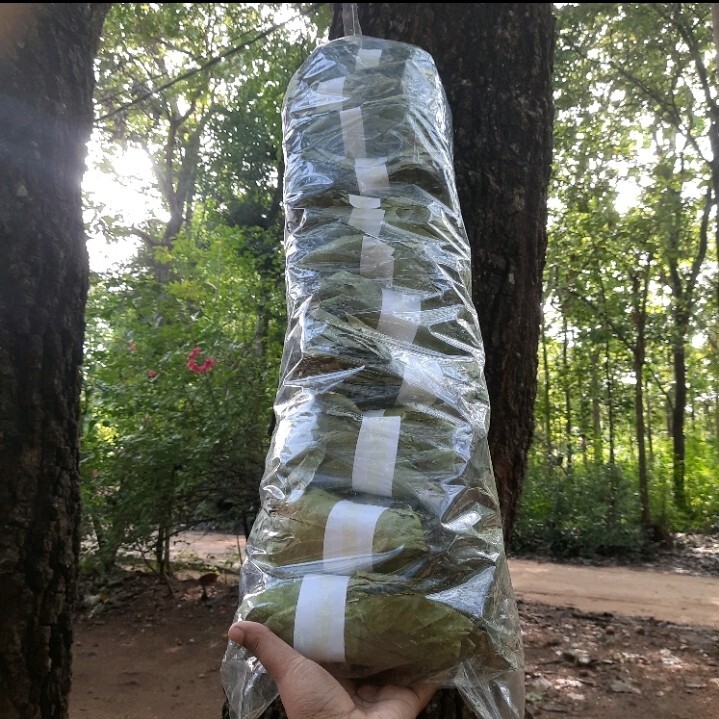 400+ Dried Soursop Leaves Annona HOJAS DE GUANABANA GRAVIOLA Quality Herbal Tea