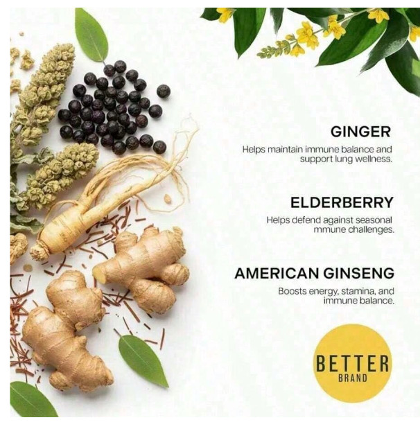 Betterbrand Better Lungs Detox Tea Caffeine Free Herbal 15 Tea Bags Mullein Leaf
