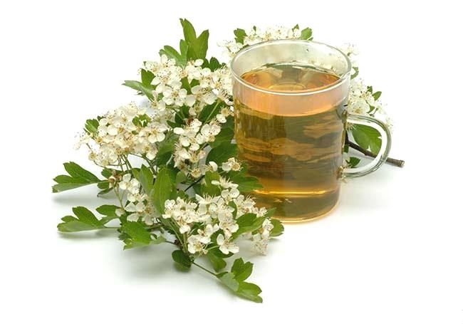 Hawthorn Tea – Loose Leaf & Flower from 100% Nature, Wild Crafted from Europe