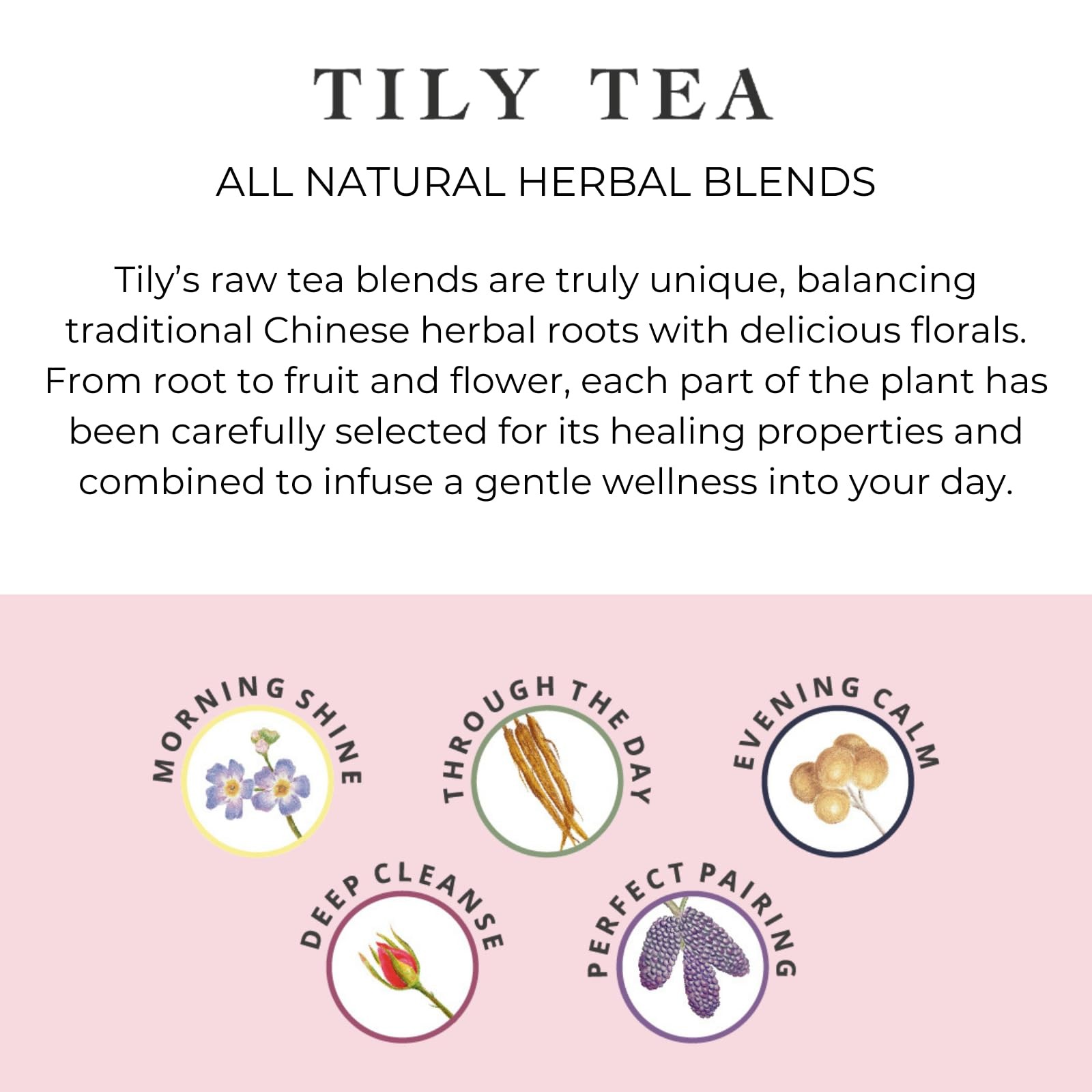 Assorted Herbal Tea Box – 5 Flavors of Caffeine-Free Tea – Morning Shine, Thr…