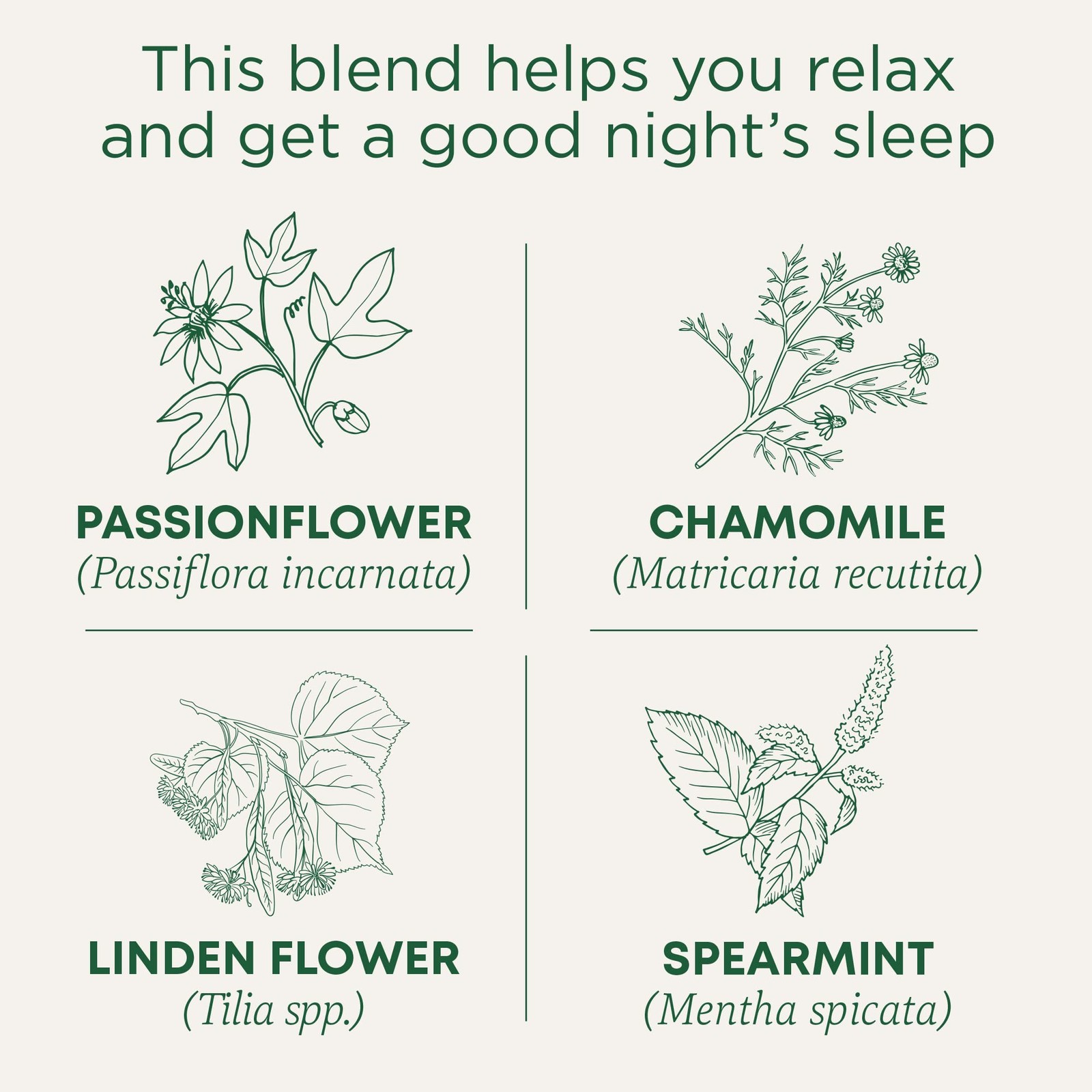 Traditional Medicinals Tea, Organic Nighty Night, Relax 16 Count (Pack of 6)
