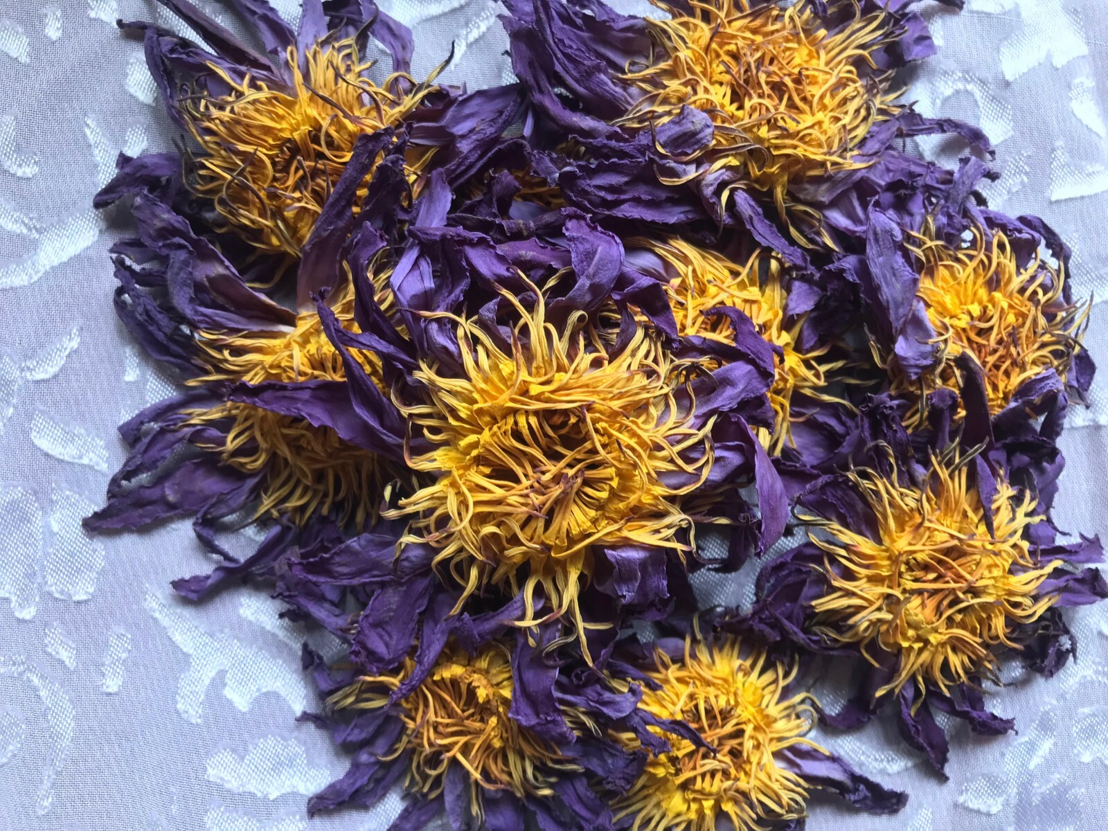 Dried BLUE LOTUS nymphaea caerulea Egyptian Organic Whole Flowers Herbal Tea