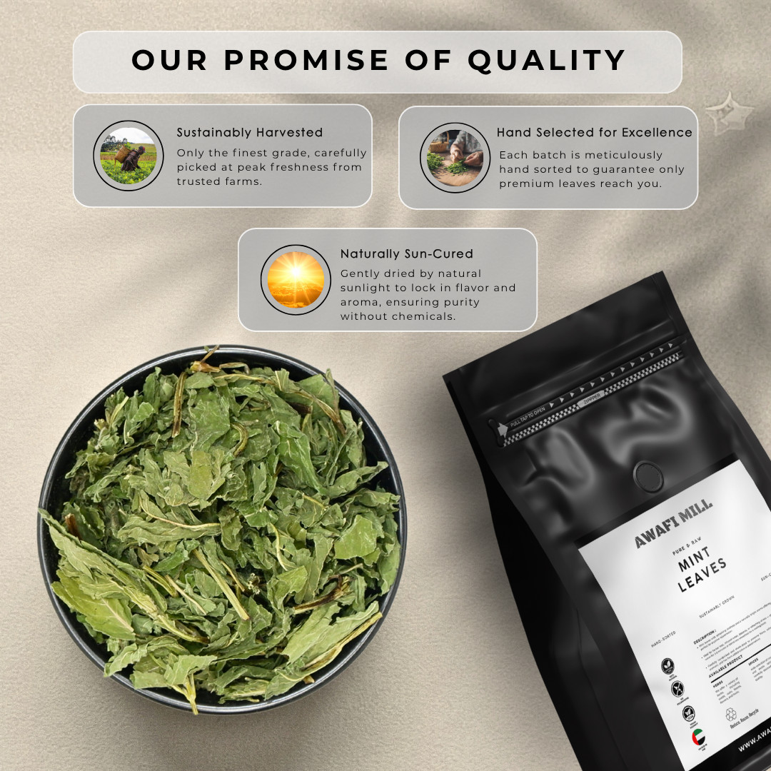 AWAFI MILL Mint Leaves – 250 g | 9 Oz