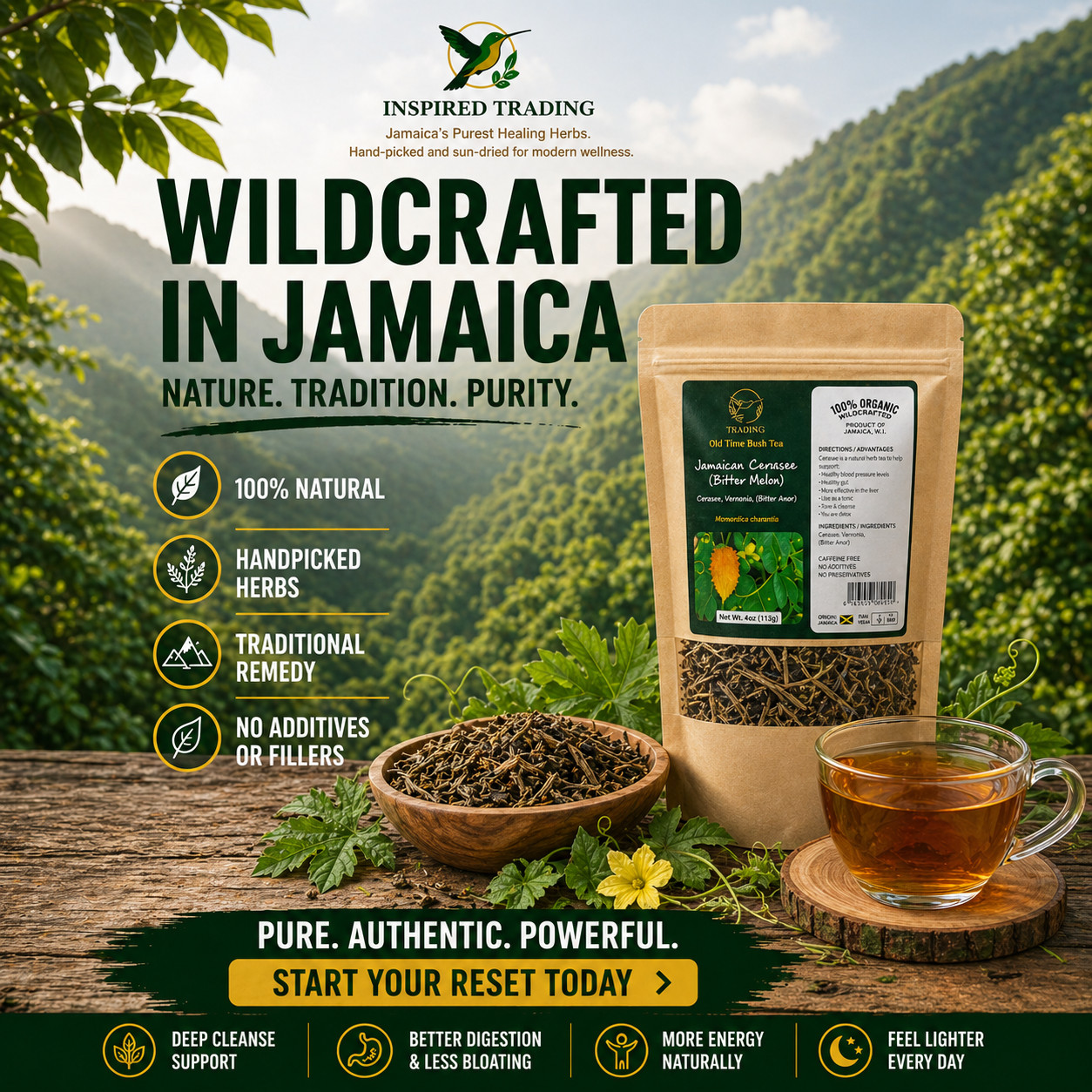 Jamaican Cerasee Tea Organic Bitter Melon Loose Leaf Herbal Available in US & CA