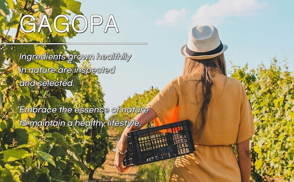 [GAGOPA] 100% Pure Bellflower Root Herbal Tea 1g x 12 Teabags (5-Pack, 60ea)