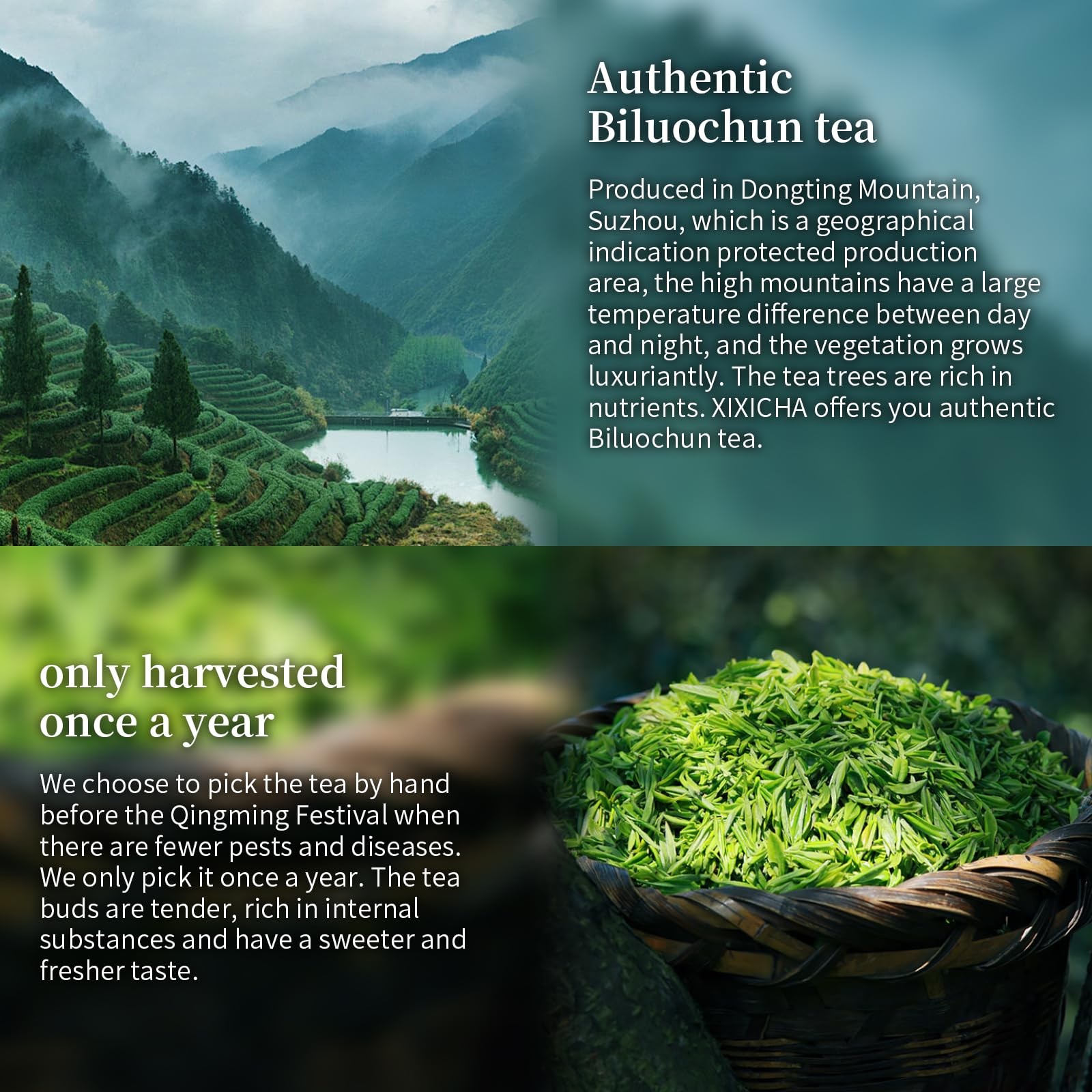 Biluochun Green Tea New Tea Grade AAA Dongting Bi Luo Chun Chinese Green Tea …