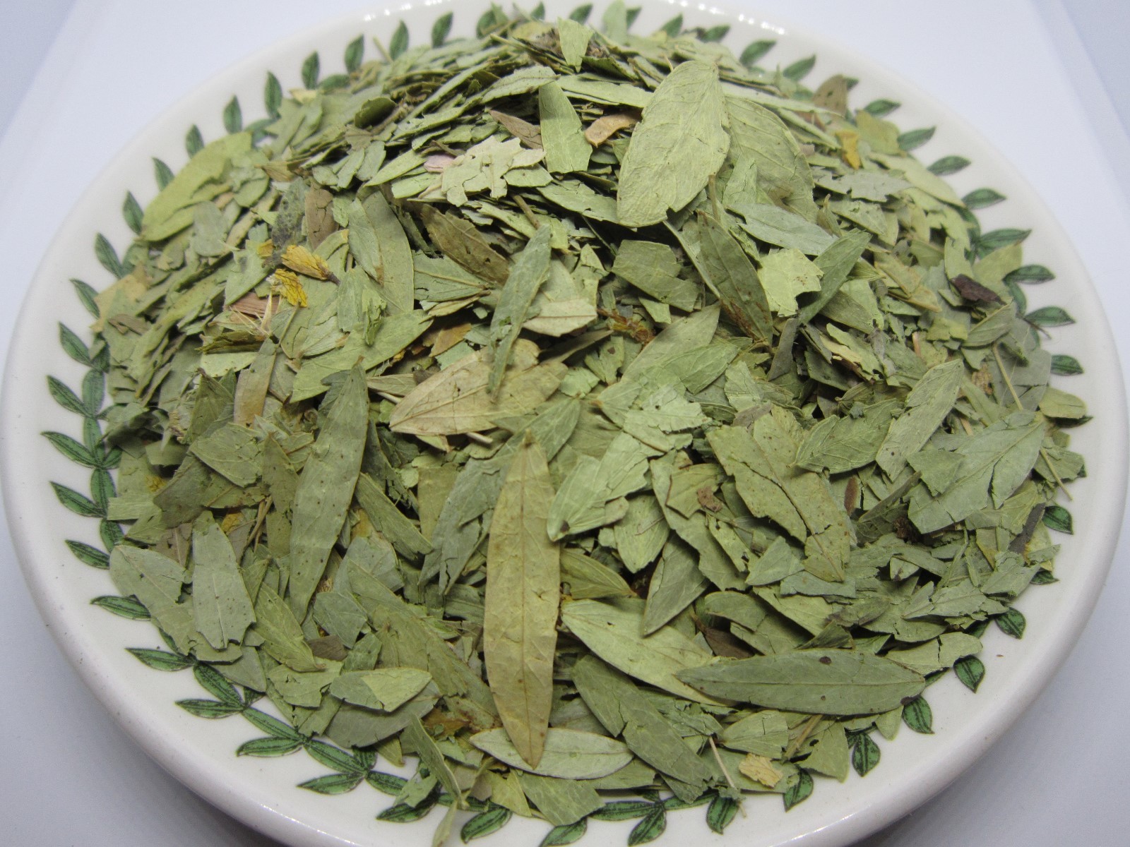 Senna Leaf – Senna alexandrina Dried Loose Leaf 100% from Nature, Wild Crafted