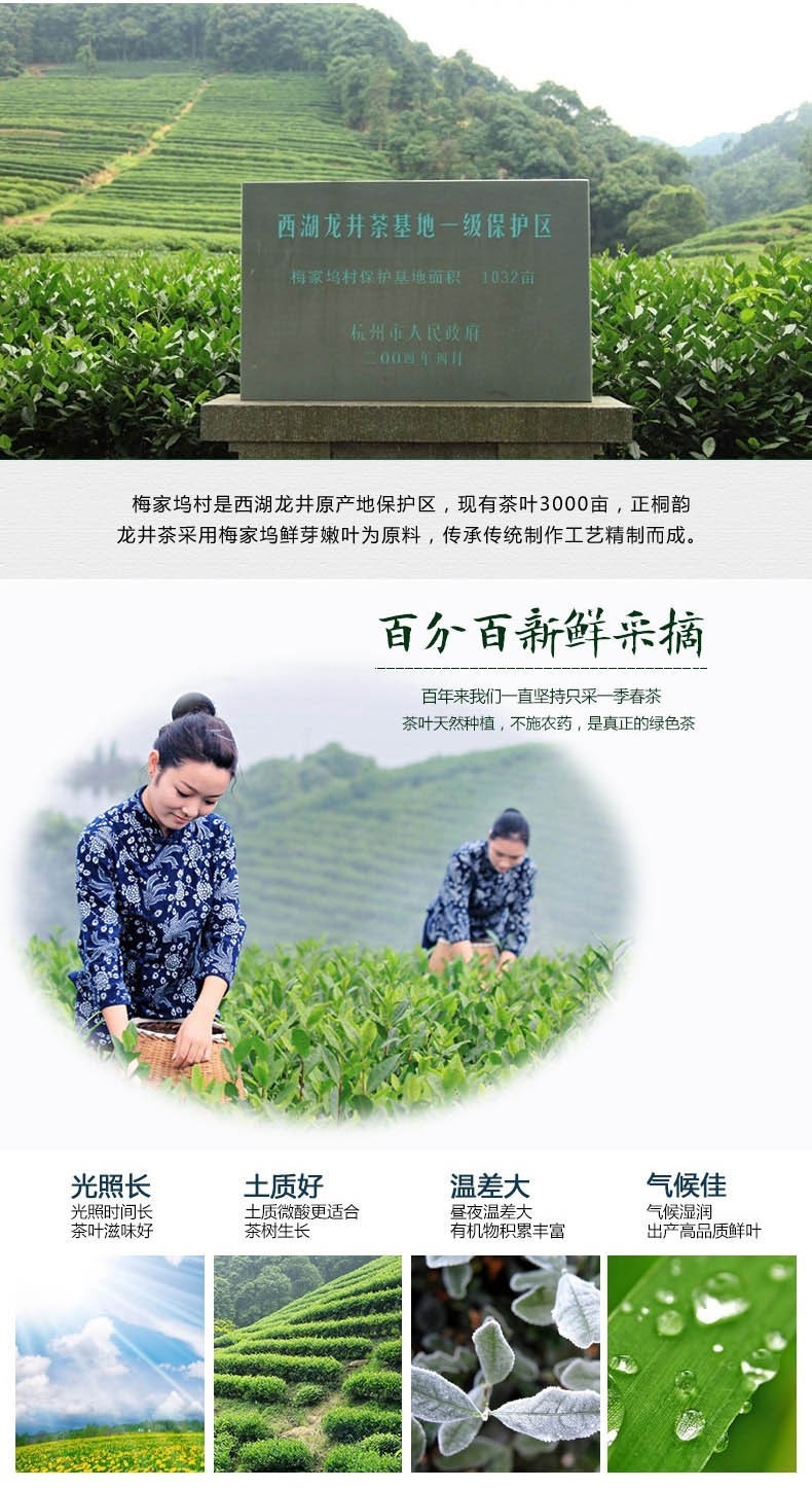 Longjing Green Tea Dragon Well Early Spring Premium Chinese Loose Leaf Tea 250g