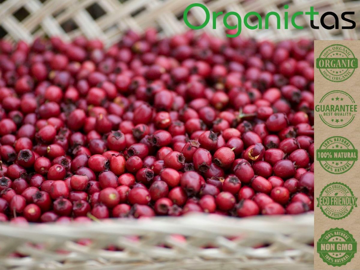 ROSEHIPS Tea Natural Dried Whole Fruit Rose Berry Vitamin C Immune System 200g