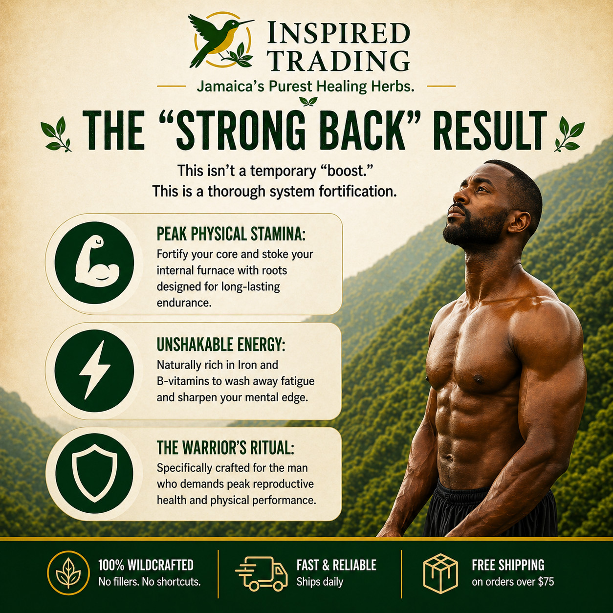 Jamaican Caveman Brew – Strong Back Tea- 7 Powerhouse Roots-Stamina & Energy