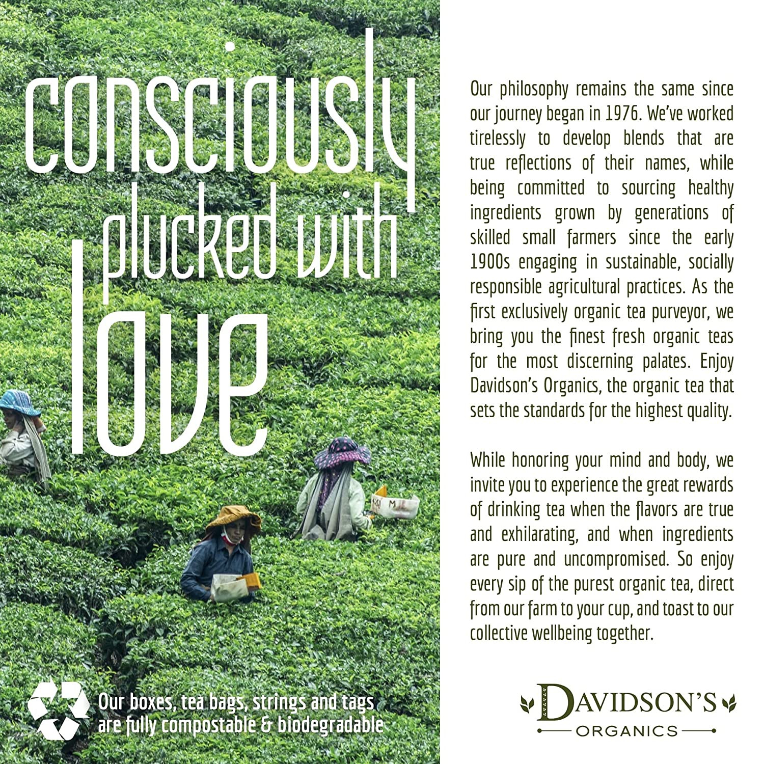 Davidson’S Organics, Gunpowder Green, Loose Leaf Tea, 16-Ounce Bag(Packaging May